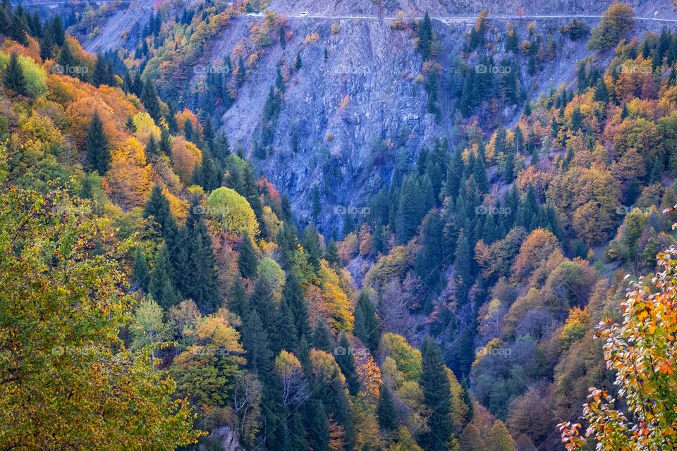 Colorful autumn scene of mountain scape along the way in Georgia 