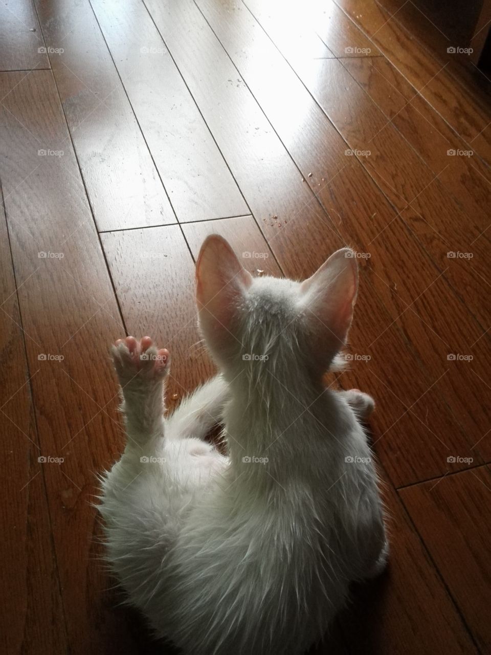 Gotten wet. First time in life, he has been swamped.