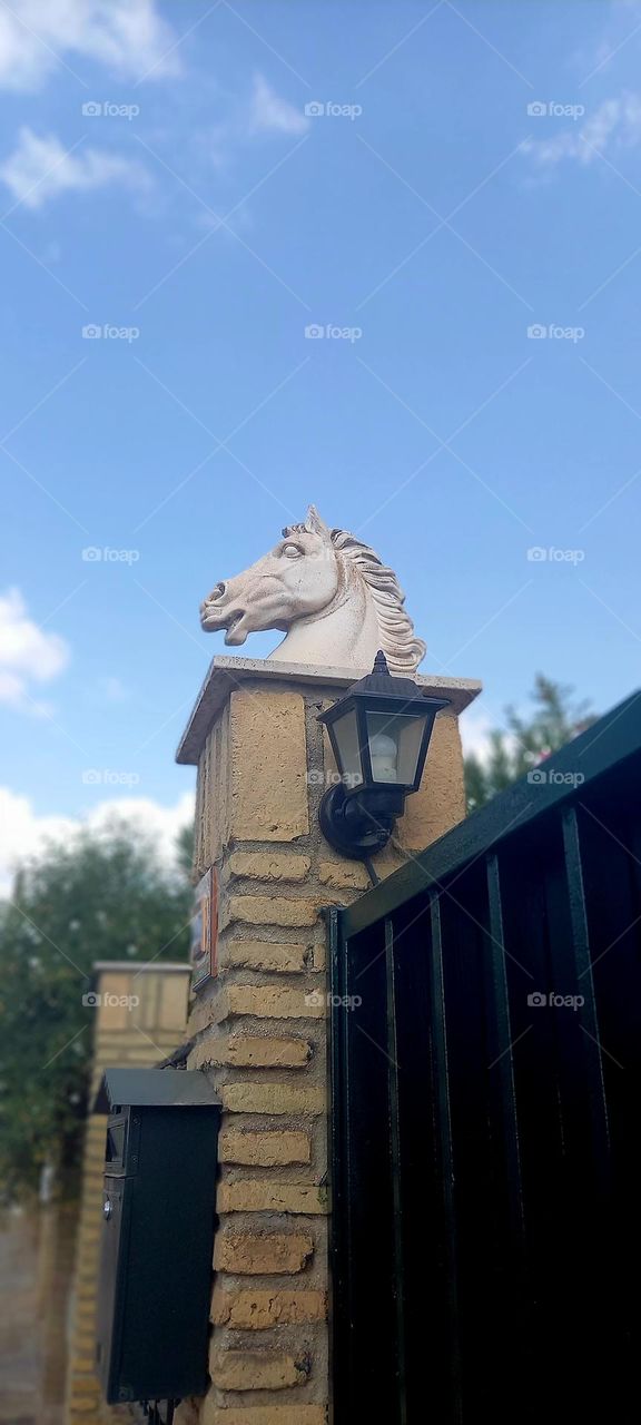 Caballo en entrada