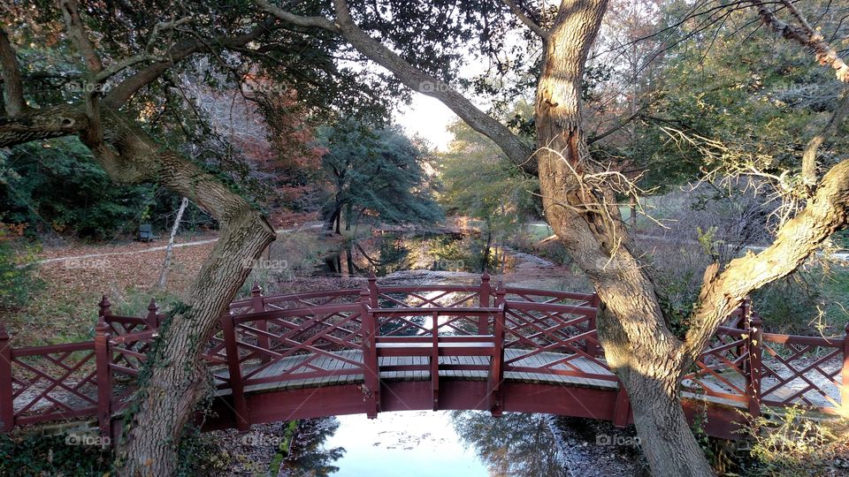 Bridge in Williamsburg, Virginia