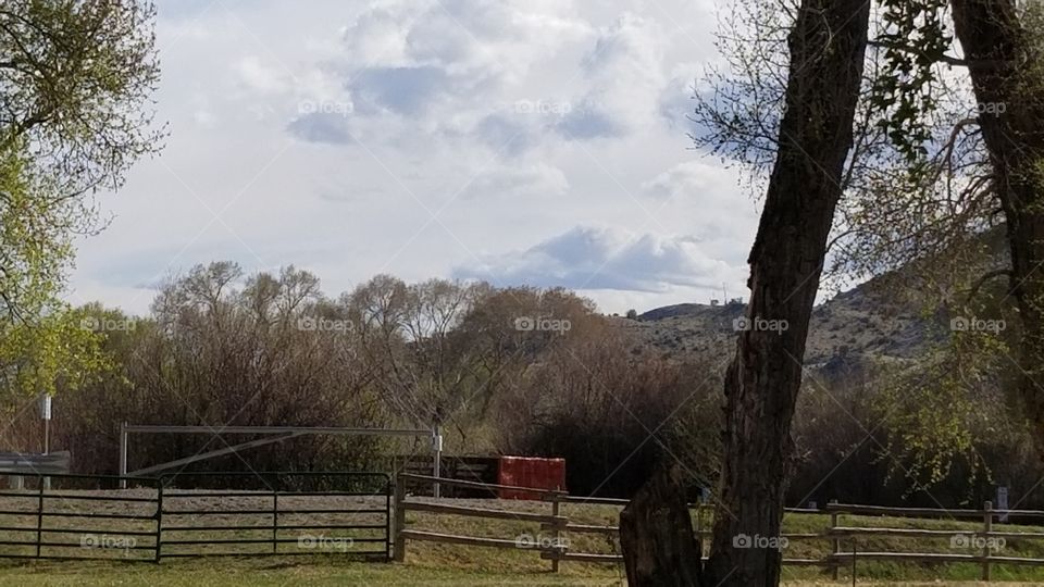 Blazing the Frontier