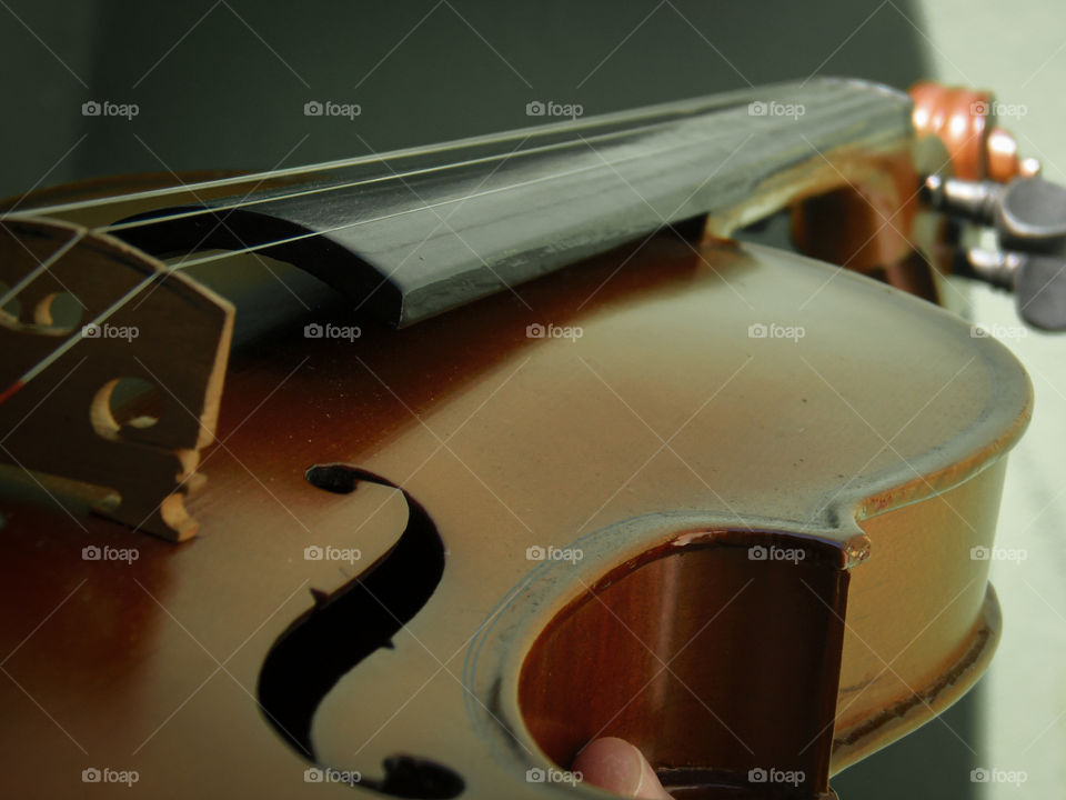 Violin