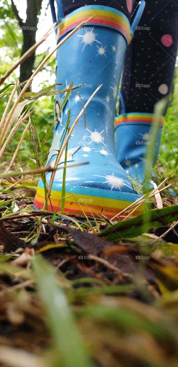 Blue rainboots in the forest