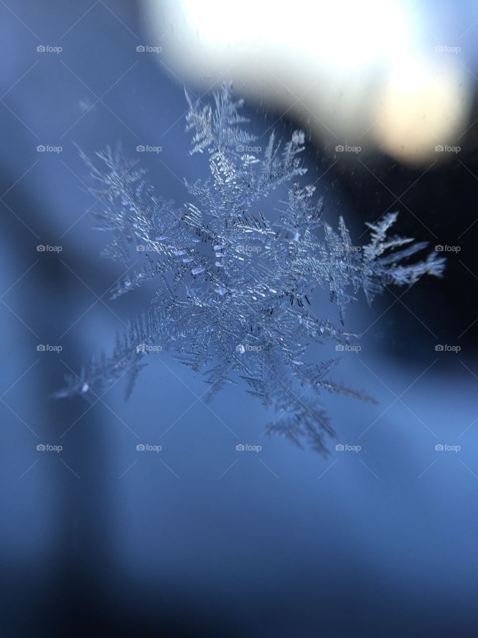 Frost on a car window