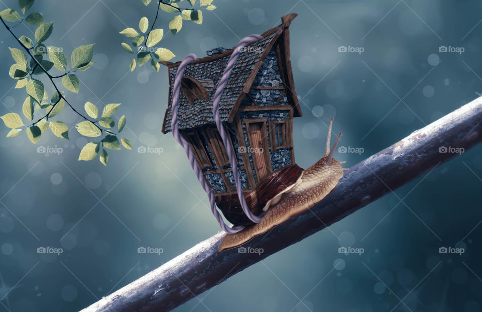 A Snail House