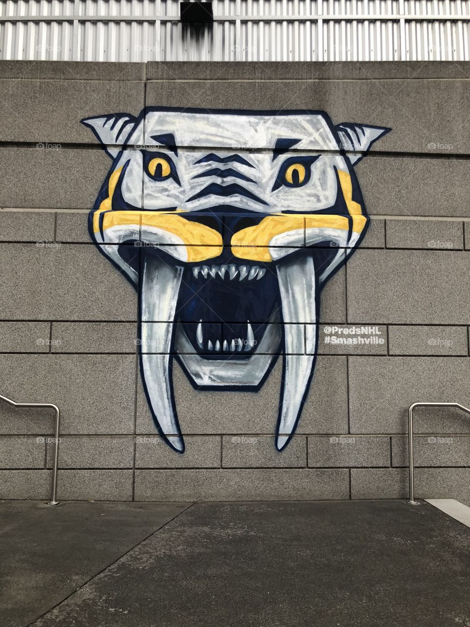 Nashville Predators hockey graffiti 