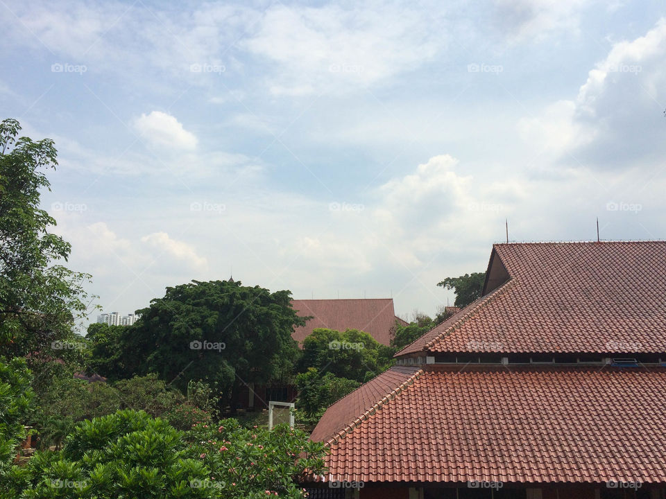 The greenish and blue scenery from the highest peak of a university building class in Indonesia. From the outside building, all of these the tall and old trees are the uniqueness of it.