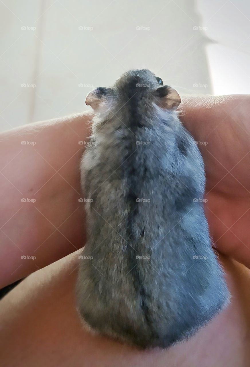 O que há além do horizonte?