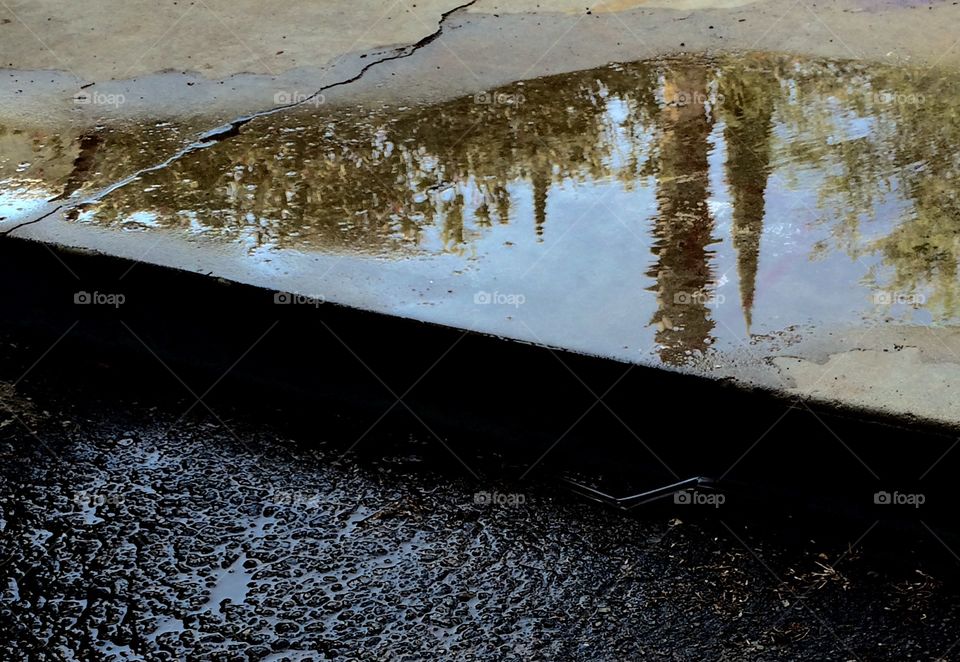 Water puddle reflection 