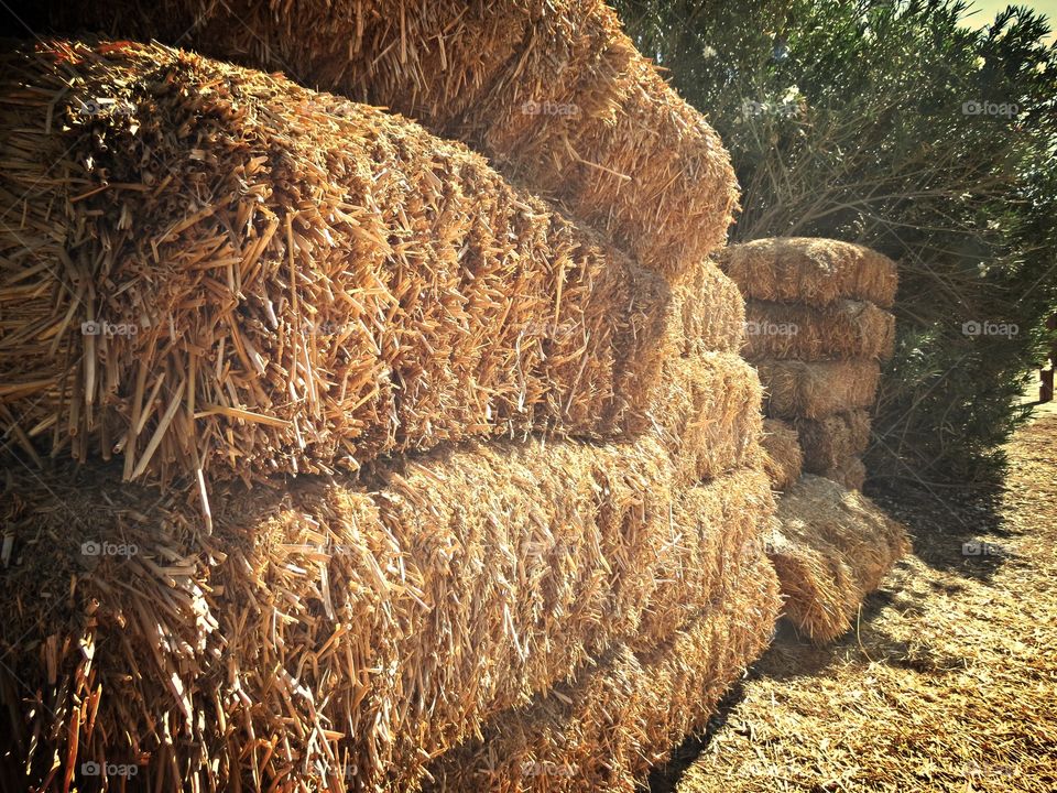 Bales of hay on a farm.