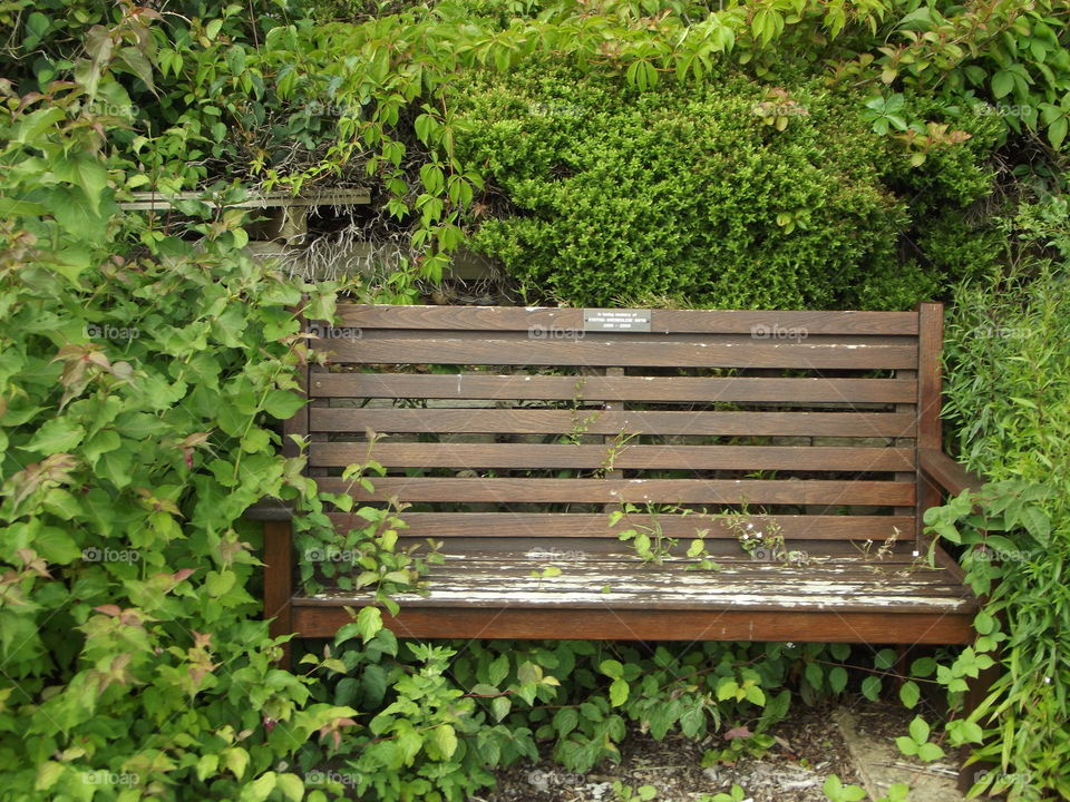 Wooden Bench