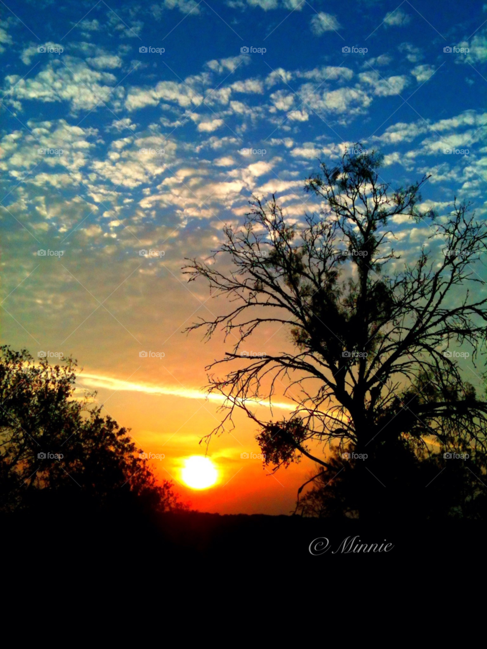 landscape sky clouds trees by minnie_