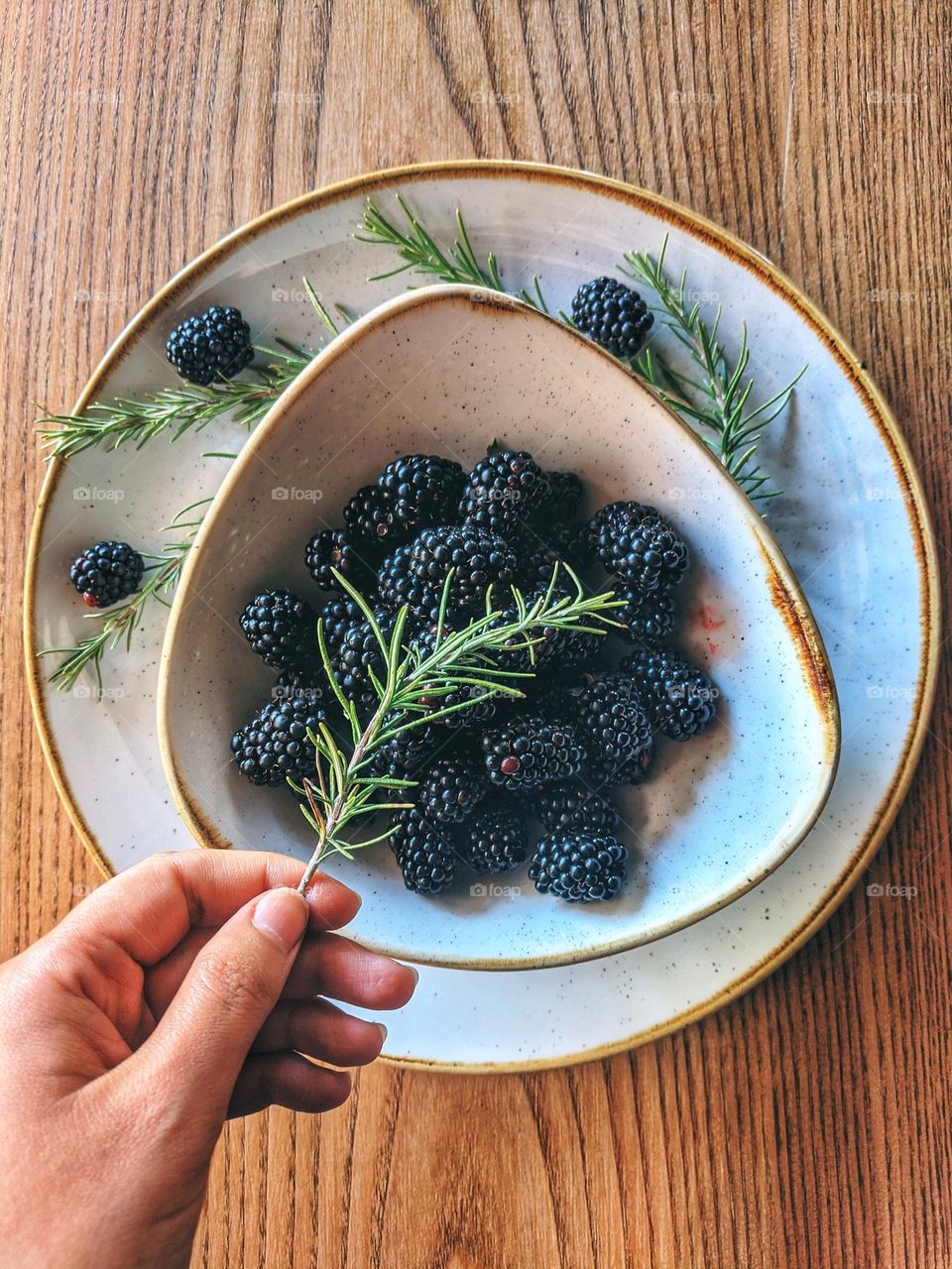 Top view of blackberry on white plate with green leaves of rosemary.