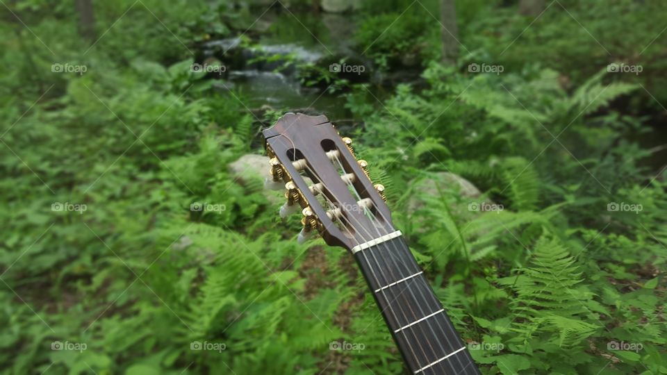 Yamaha guitar neck in the forest
