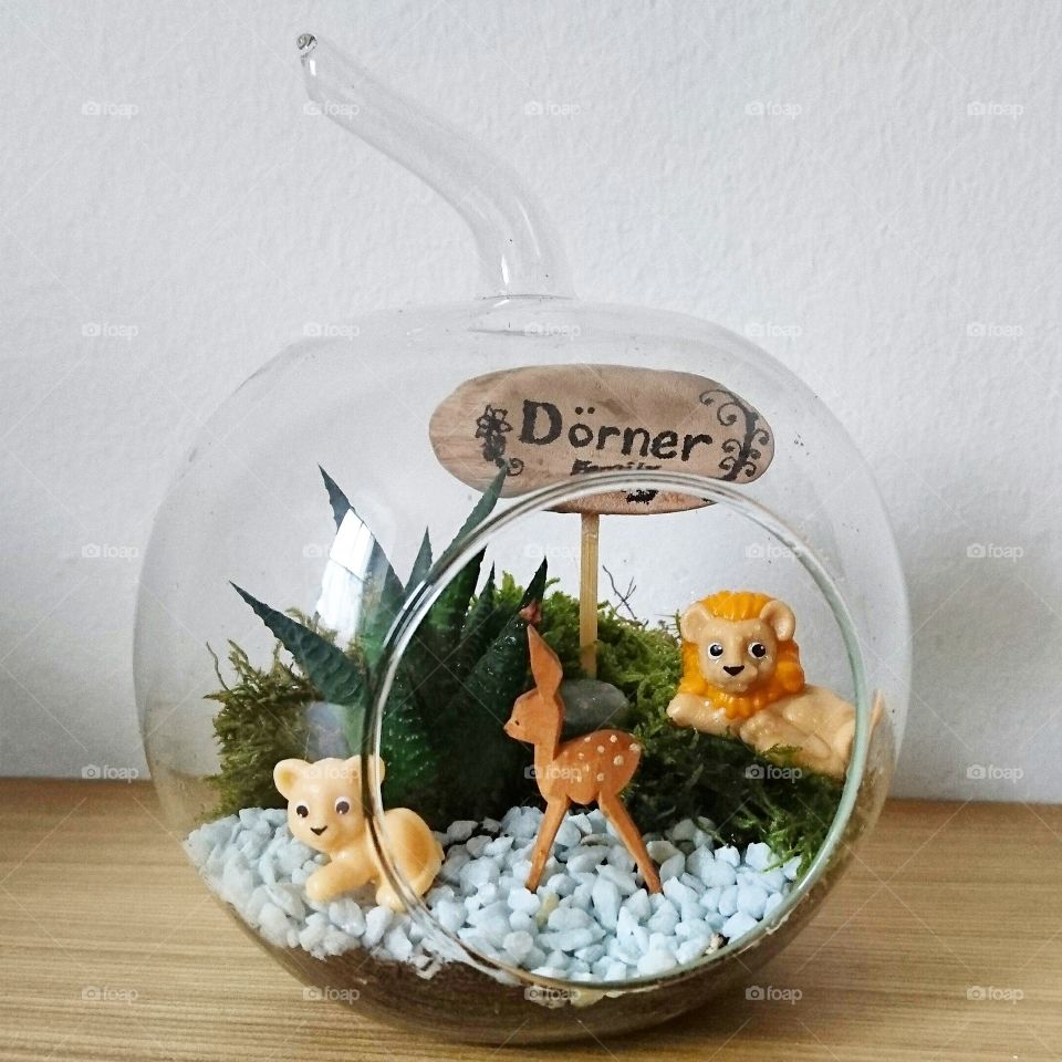 terrarium