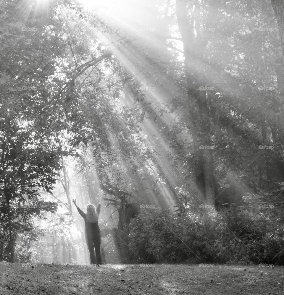 A very foggy morning made beautiful light streams as the sun began to shine