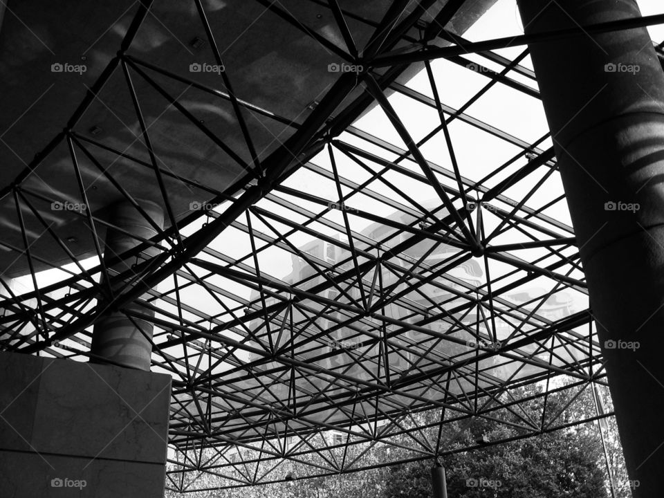 Architecture. Spaceframe Canopy