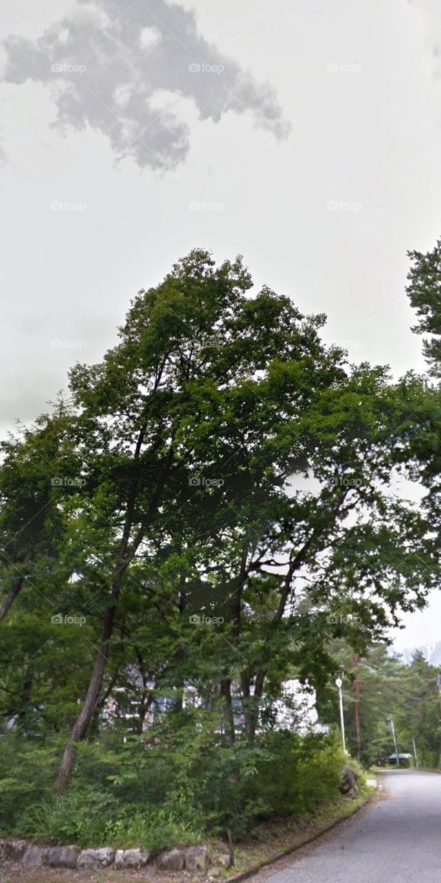 Đám mây kỳ lạ.