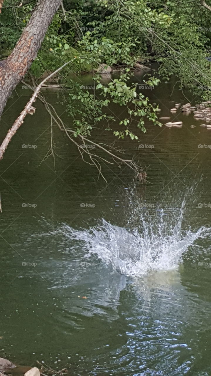 plop, splash into the river