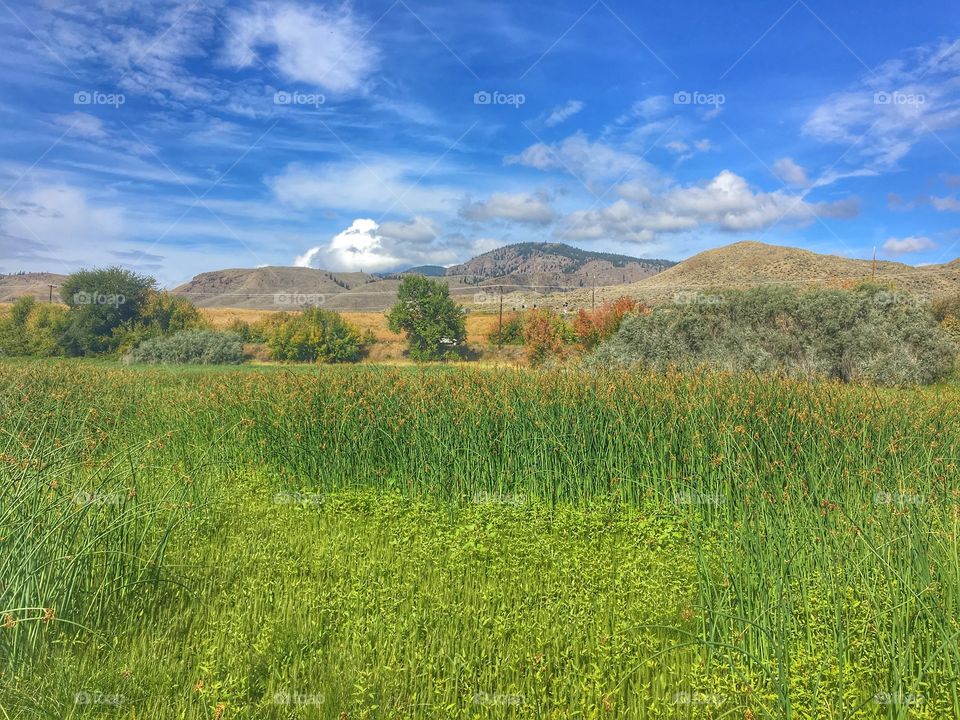 Beautiful summer day 