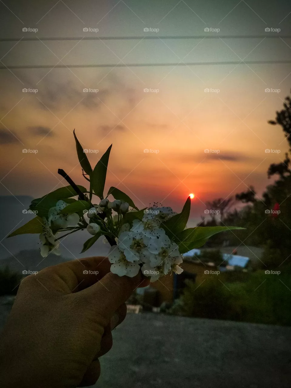 beautiful sunset picture by Sachin Khwaab.