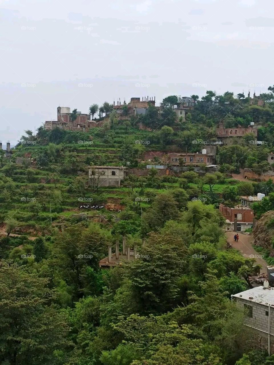 A very beautiful picture, and there is no better picture than it. There is no better picture of green herbs and colorful, red and white roses than it. Glory be to God, the natural and picturesque view, and there is no more