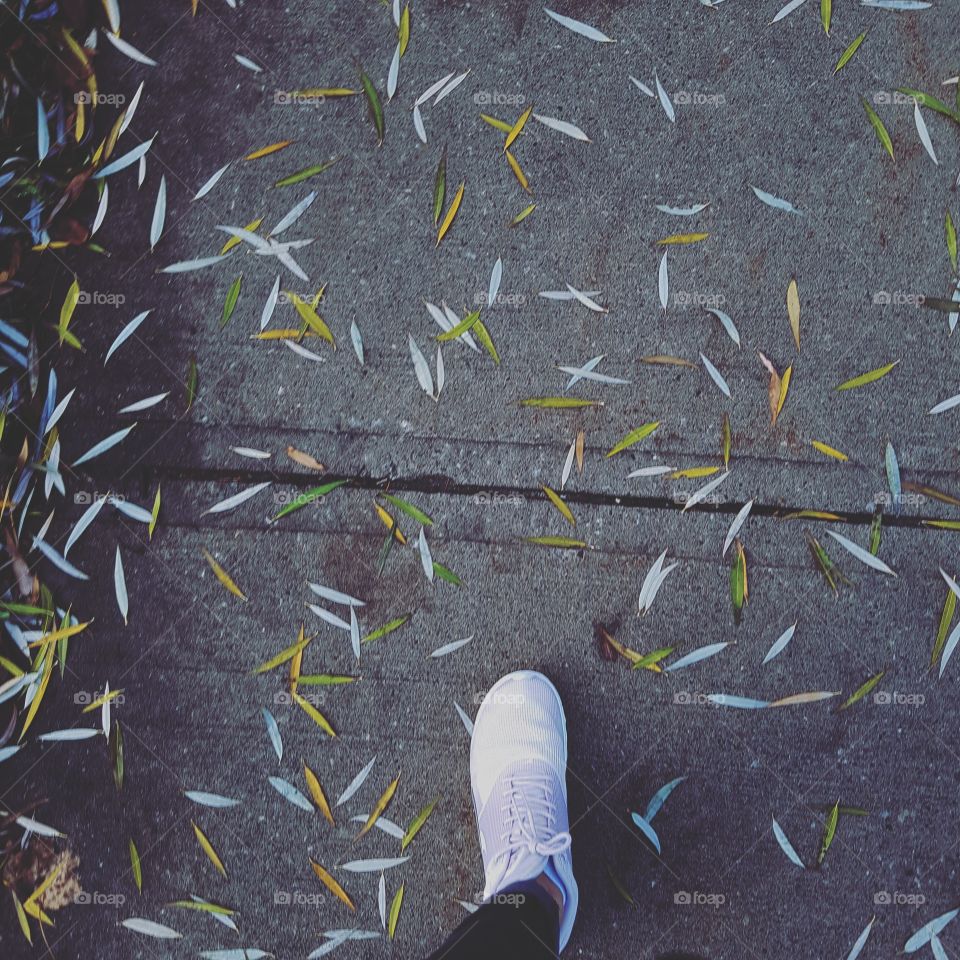 Walking in the fall