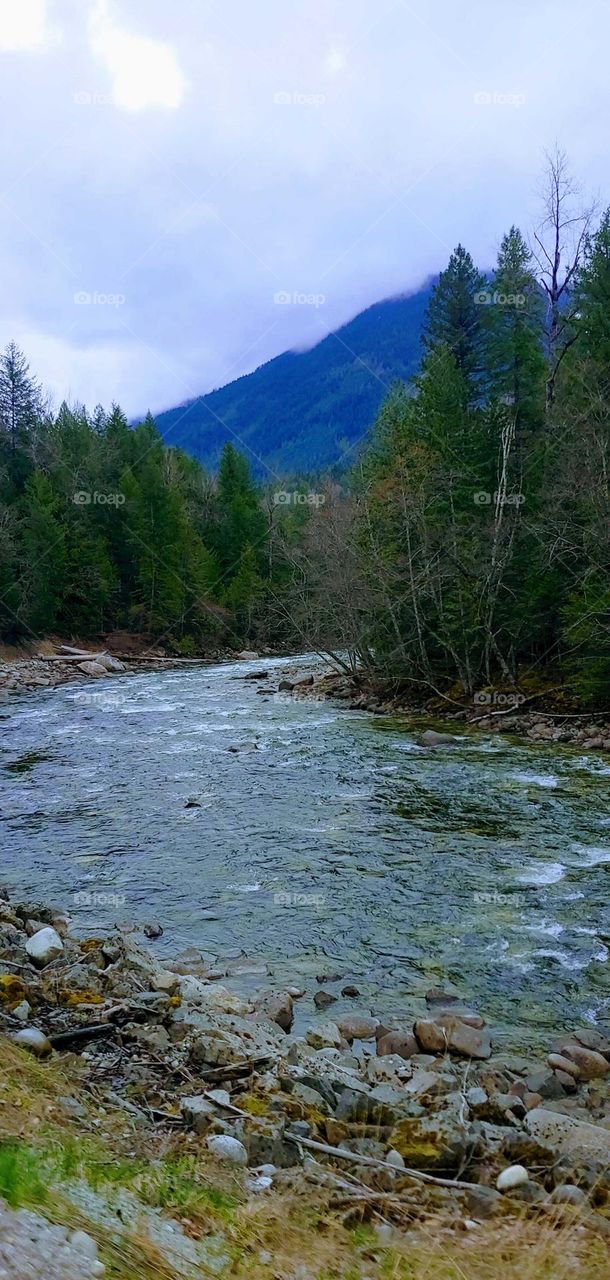 view of the creek from the highway .