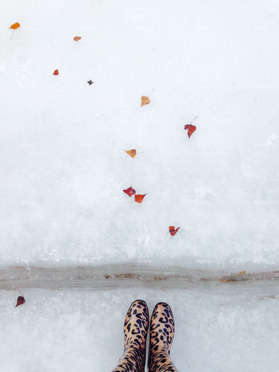 Feet view at the snow 