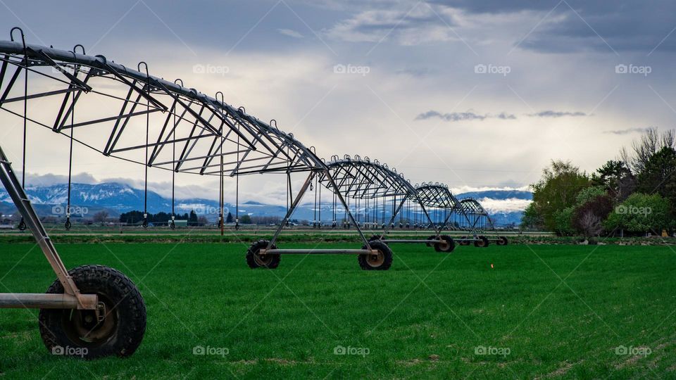Sprinkler chain extended