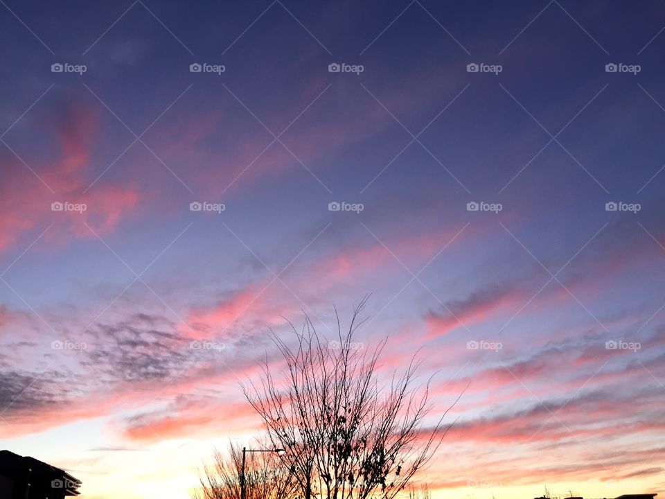 Sunset. Taking a walk on a wonderful evening