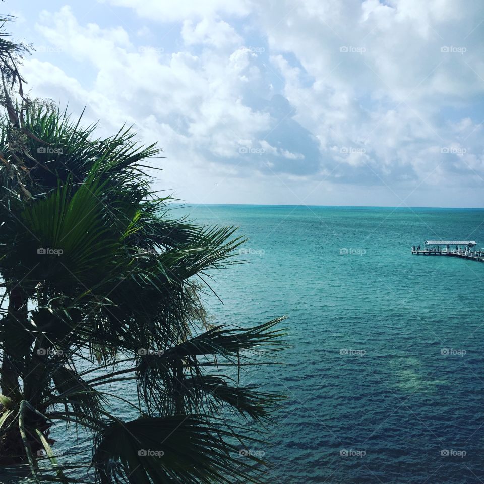 Beautiful Water of the Keys