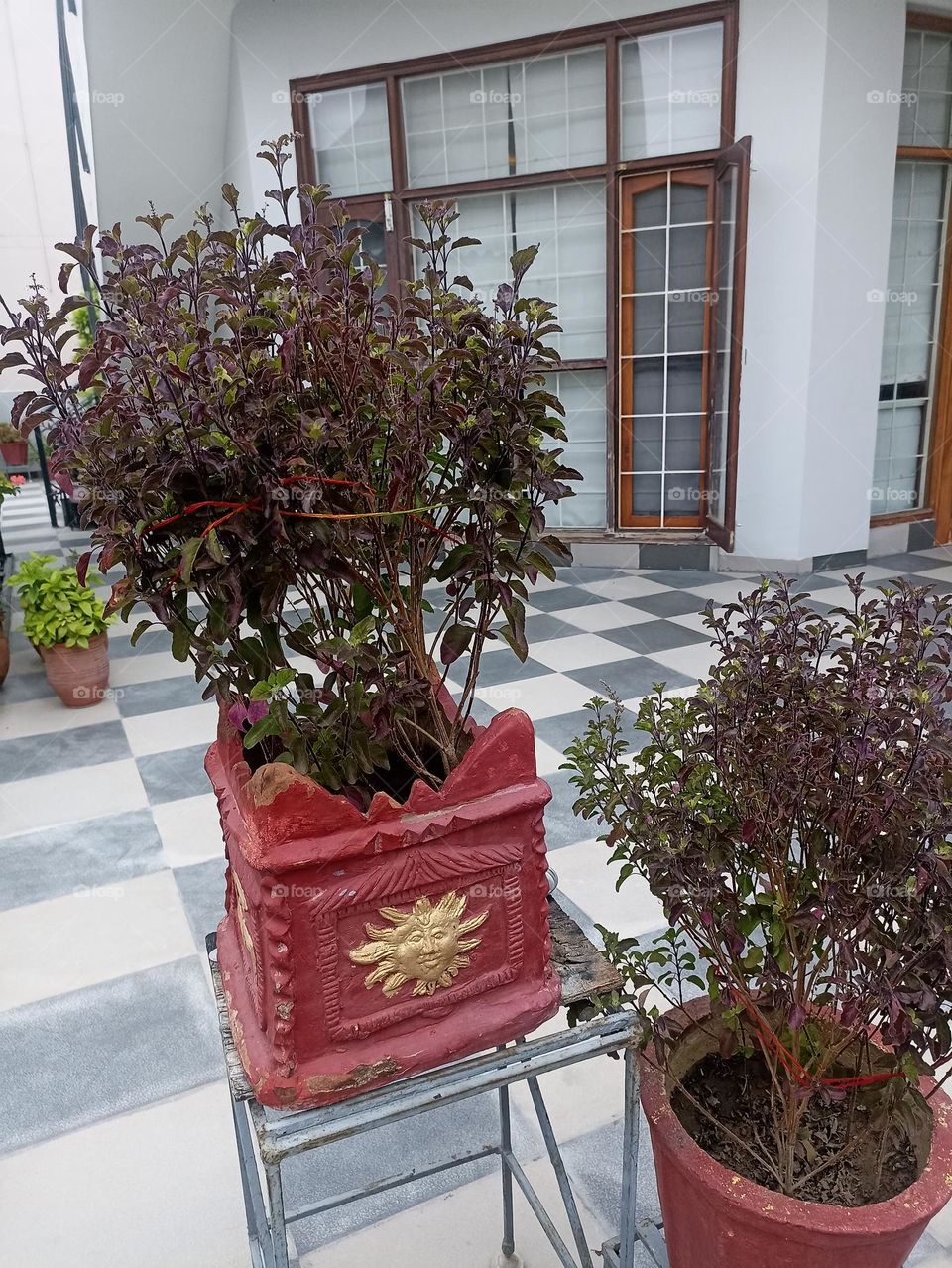 Herbalism was the grounding of flower power . Nature woke us up.