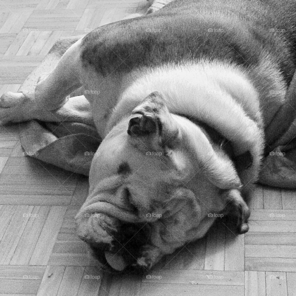 The floor isn't comfy at all...