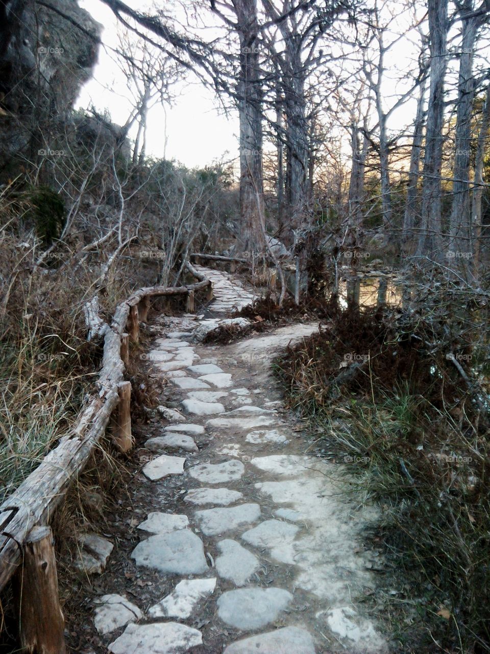 pathway