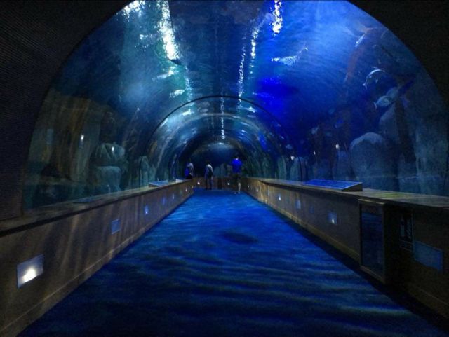 oceanografic