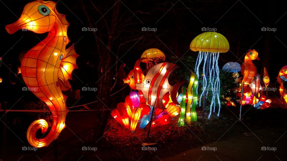 Chinese Lanterns
