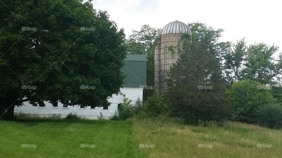 Staebler farm. Pontiac Trail, Ann Arbor Township, Michigan