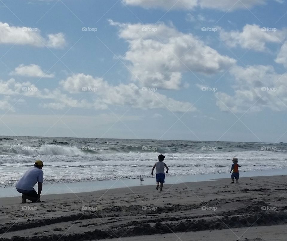Beach, Sea, Ocean, Water, Seashore