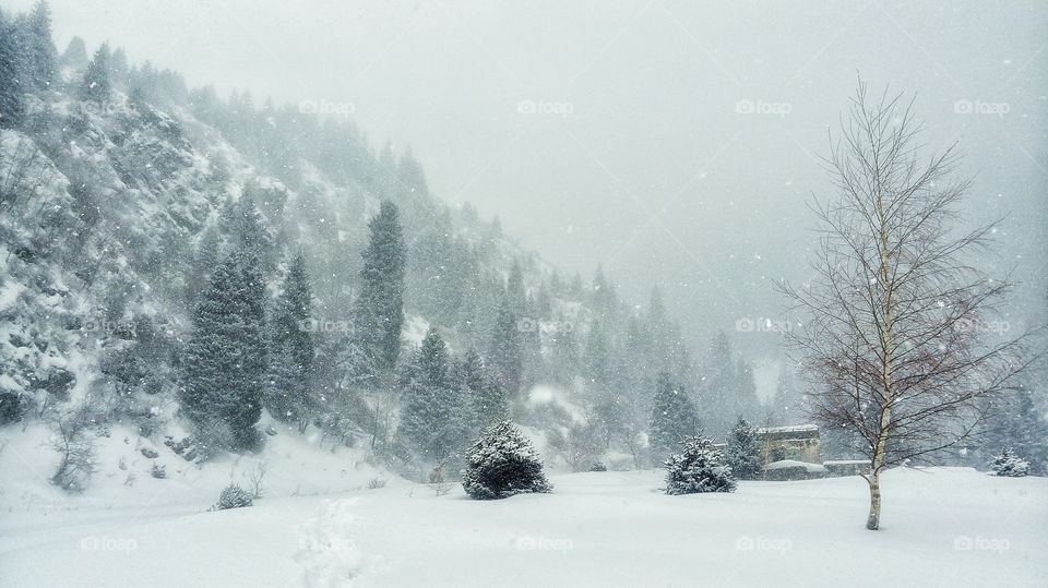 зима, холод, красота,  природа,  горы