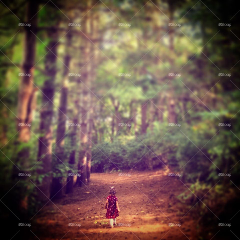 Girl Walks Into Forrest