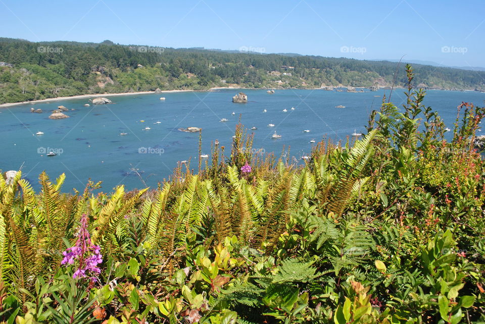 A beautiful view of Trinidad beach, California