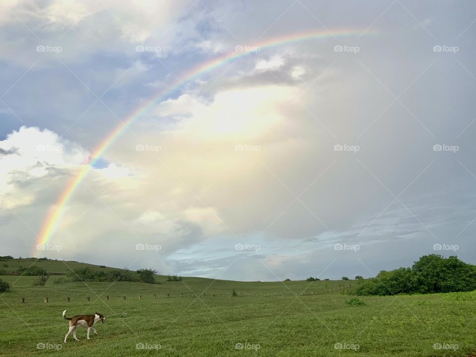 Rainbow and clouds over green grass 