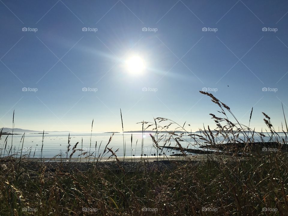 Summer sun on Willows Beach