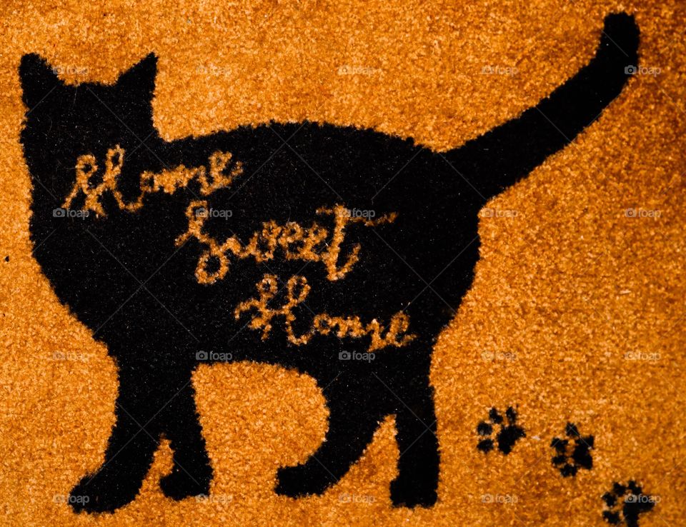 Pad in front of door 😁