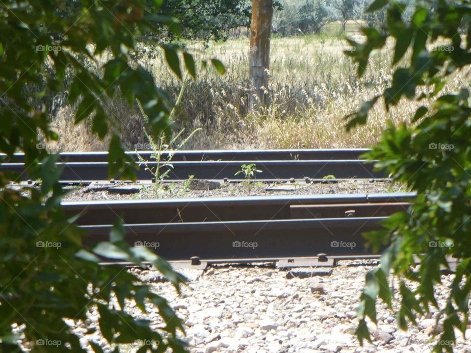 Peek at the Tracks
