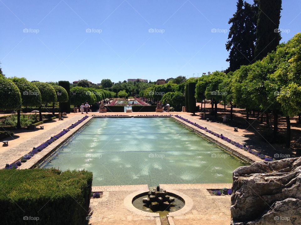 Pool and Garden. Pool and garden in Córdoba, Spain
