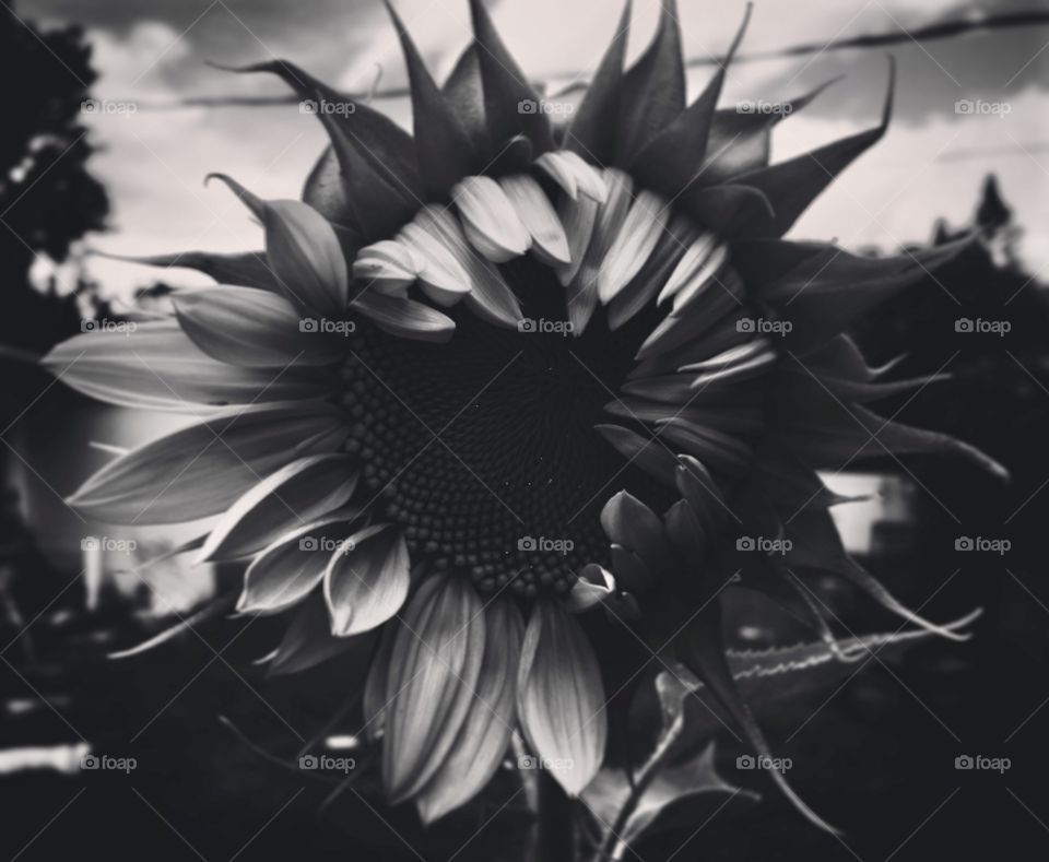 When your soul awakes from a very deep sleep