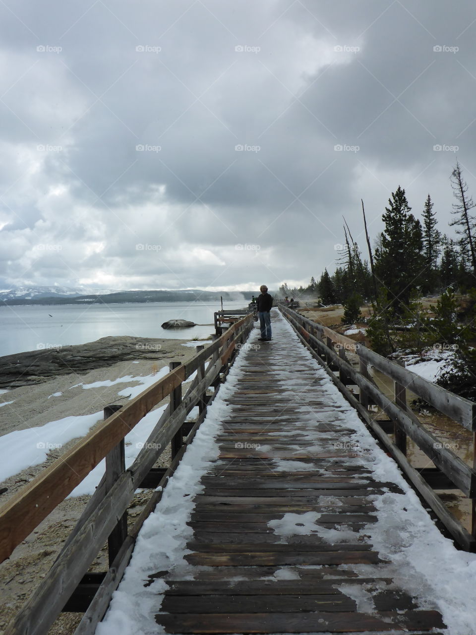 Snowy Yellowstone