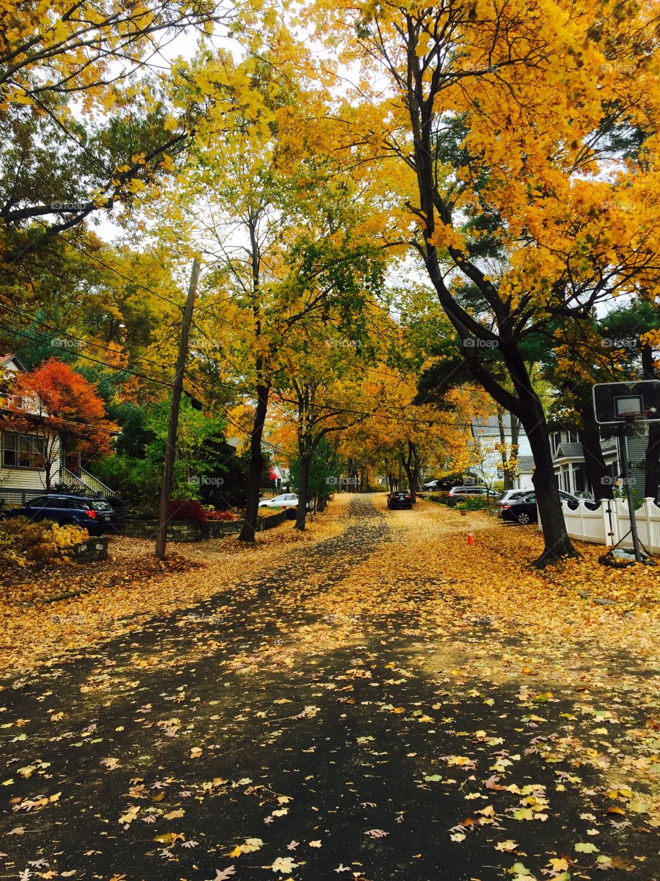 Fall in Boston
